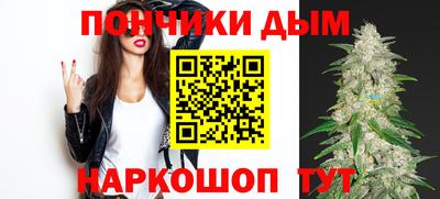 мдпв Лесосибирск